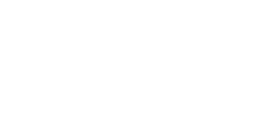 Huellas Puntanas, cliente de PoloDev